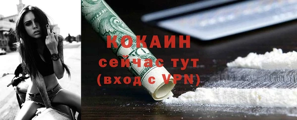твердый Абаза