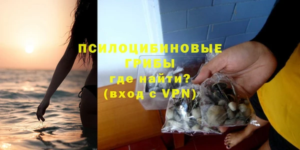 первитин Алексеевка