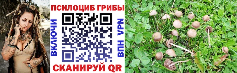 Галлюциногенные грибы ЛСД Зеленогорск