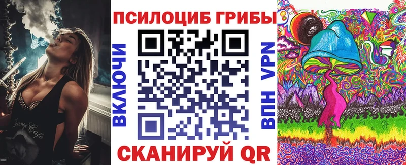 Псилоцибиновые грибы Psilocybe Зеленогорск