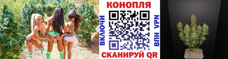Конопля LSD WEED Зеленогорск